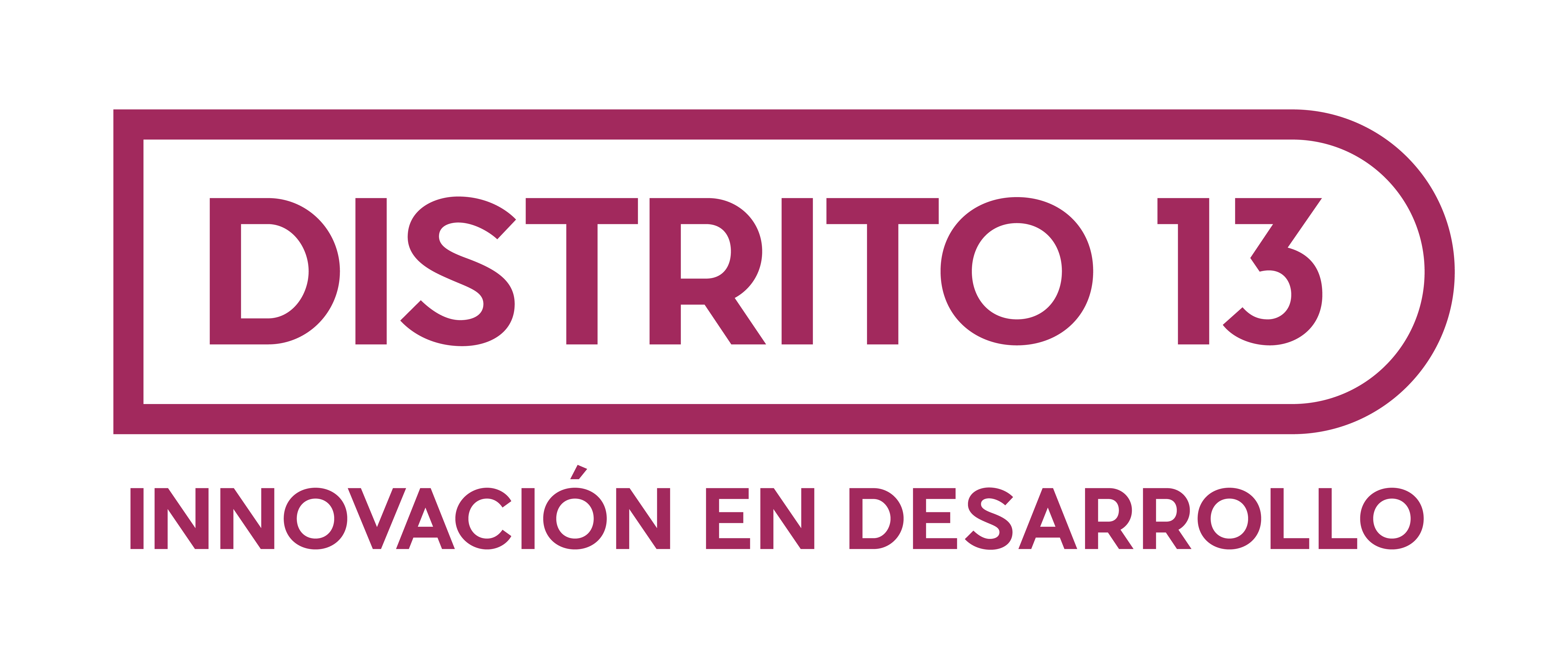 Distrito 13